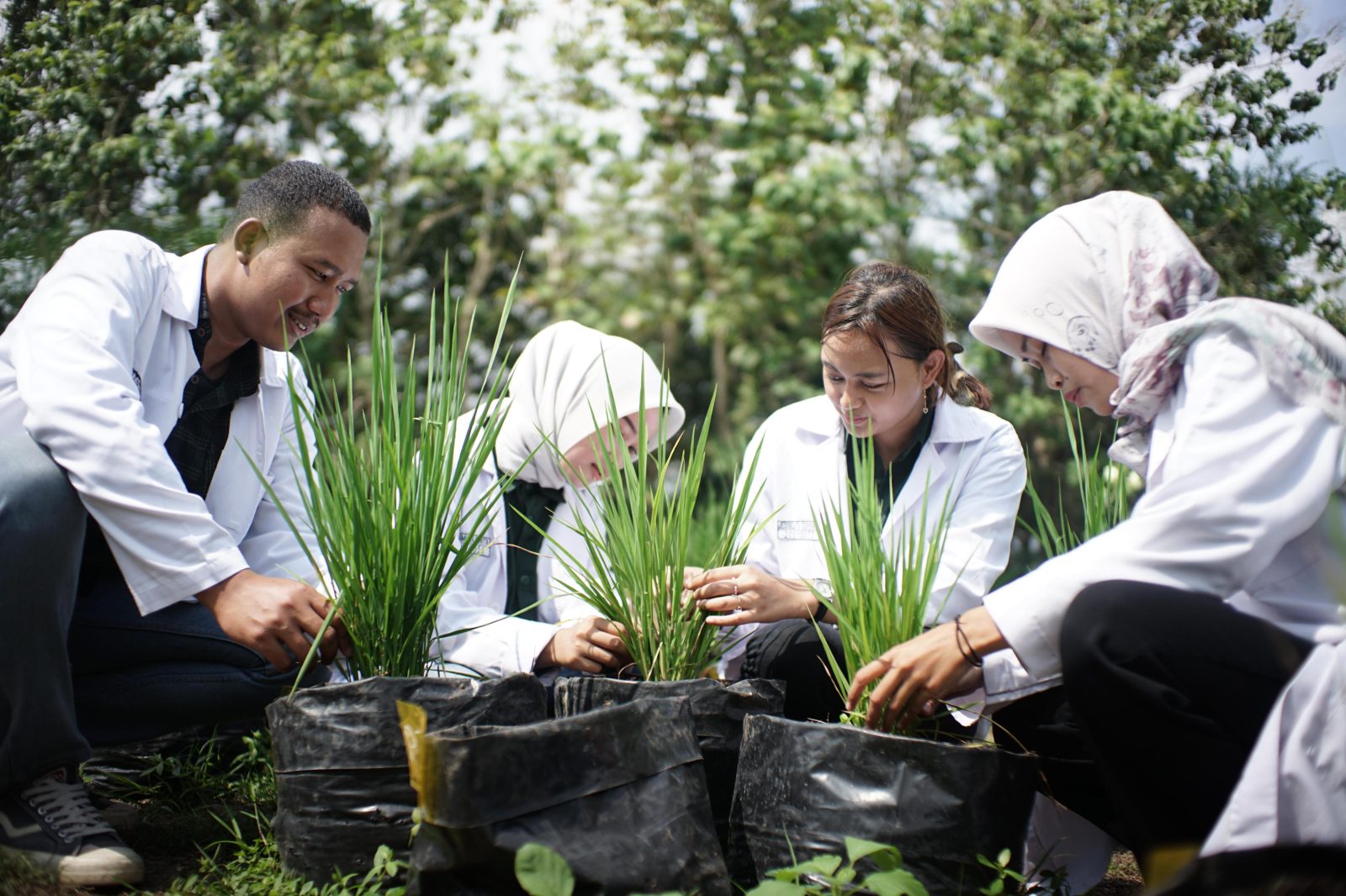 Praktik Lapangan Jadi Bagian Penting Pembelajaran Mahasiswa Fakultas Pertanian